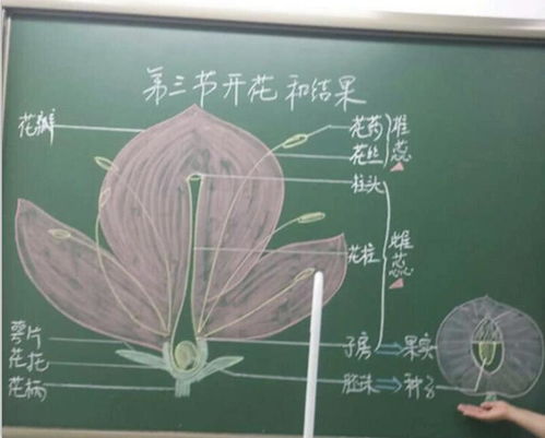 簡述教師應用板書的注意事項