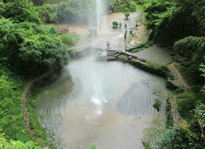 武夷山,游玩,夏季,注意事項(xiàng)