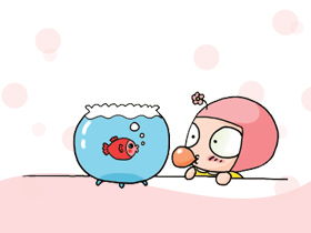 產前,腹部,注意事項,檢查