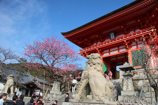 2月份去日本旅游要注意事項(xiàng)