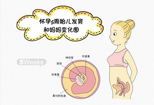 懷孕第9周應(yīng)注意事項(xiàng)