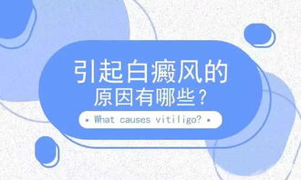 夏季白殿瘋注意事項(xiàng)