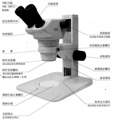 顯微鏡的結(jié)構(gòu)及使用注意事項,相差顯微鏡的使用注意事項,普通光學顯微鏡的使用注意事項