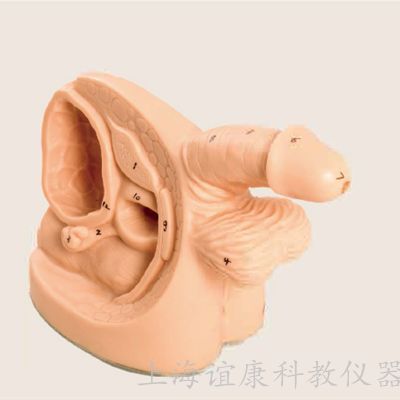 老年人導(dǎo)尿的注意事項(xiàng),簡(jiǎn)述老年人導(dǎo)尿的注意事項(xiàng),留置導(dǎo)尿的注意事項(xiàng)