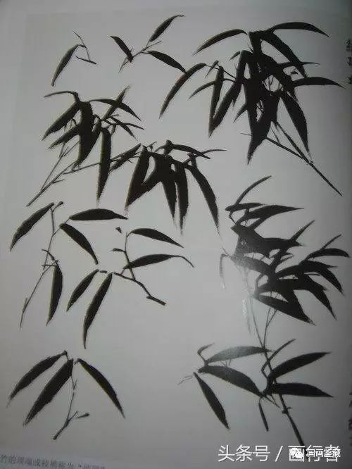 水墨畫(huà)竹子的畫(huà)法及注意事項(xiàng)