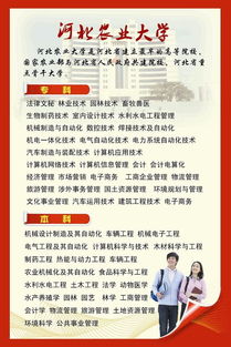 2016河北高考數(shù)學試卷,2016年河北高考,河北高考報名注意事項