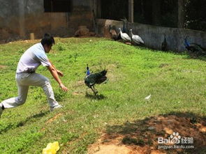 游深圳動(dòng)物園注意事項(xiàng)