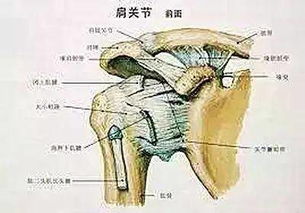 肩周炎患者應(yīng)注意事項,支氣管擴張平時應(yīng)注意事項,肩周炎灌注治療應(yīng)注意事項