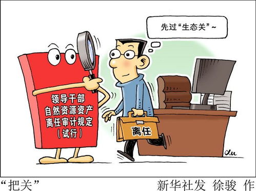 離任,應(yīng)注意,審計,事項