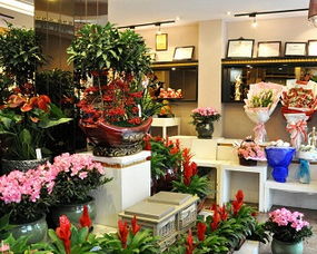 選址,花店,注意事項(xiàng),經(jīng)營