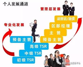應(yīng)聘招聘顧問(wèn)需要注意事項(xiàng),應(yīng)聘總經(jīng)理助理的注意事項(xiàng),應(yīng)聘禮儀與注意事項(xiàng)