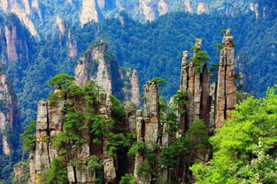 春節(jié)漠河旅游注意事項(xiàng),黃山春節(jié)旅游注意事項(xiàng),春節(jié),武漢游客湖南旅游注意事項(xiàng)