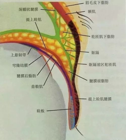 注意事項(xiàng),手術(shù)