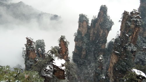 張家界,注意事項(xiàng),春節(jié),旅游