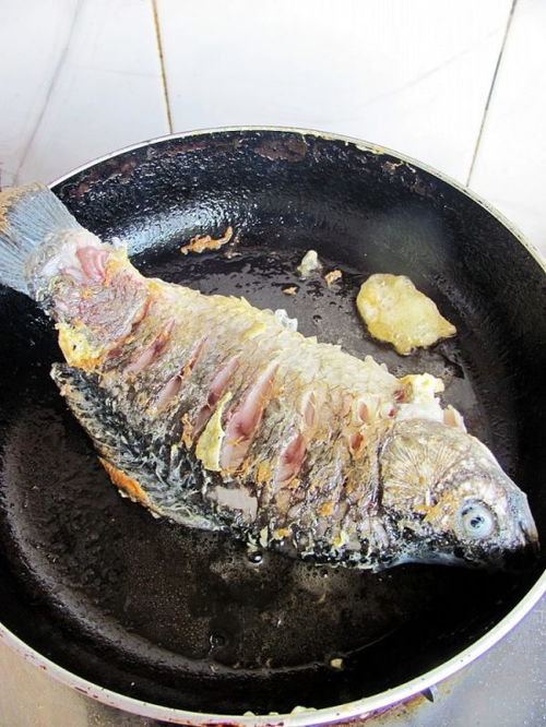 鯽魚,紅燒,烹飪,注意事項(xiàng)