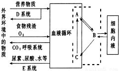 斜面培養(yǎng)基接種注意事項