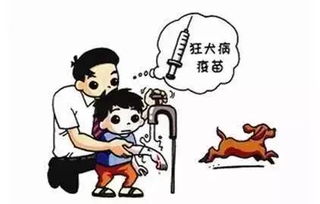 狂犬,注意事項(xiàng),病疫苗