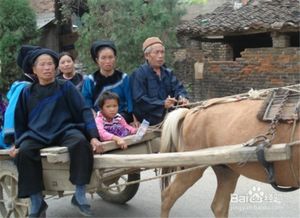去世,注意事項(xiàng),親人