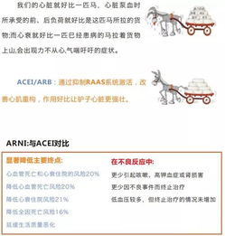 強心,藥物,注意事項,觀察