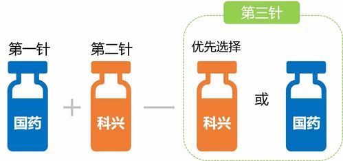動物免疫接種的方法及注意事項(xiàng),免疫接種的注意事項(xiàng),簡述免疫接種的注意事項(xiàng)