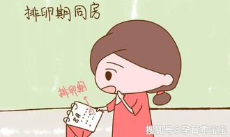 排卵日同房后注意事項,排卵日同房后幾天注意事項,備孕排卵日同房后注意事項