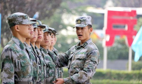 當兵家訪注意事項,跟當兵的談戀愛注意事項,當兵前注意事項