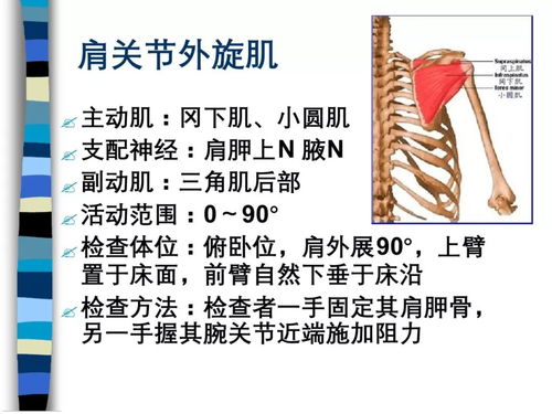 外科手術(shù)器械注意事項(xiàng),器械護(hù)士的注意事項(xiàng),外來器械處理的注意事項(xiàng)