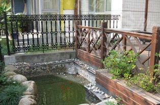 新挖魚塘養(yǎng)魚注意事項(xiàng),新開(kāi)魚塘要注意事項(xiàng),新魚塘養(yǎng)魚注意事項(xiàng)