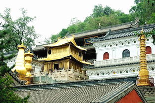 山上,注意事項(xiàng)