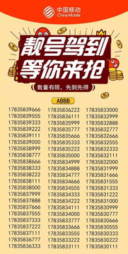手機(jī)靚號(hào)過戶注意事項(xiàng),買靚號(hào)需要注意事項(xiàng),購買手機(jī)靚號(hào)過戶注意事項(xiàng)
