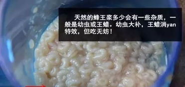 注意事項(xiàng),蜂皇漿