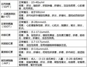 肝常規(guī)檢查注意事項(xiàng)