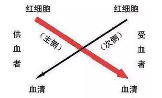 交叉,注意事項,實驗,聚凝胺