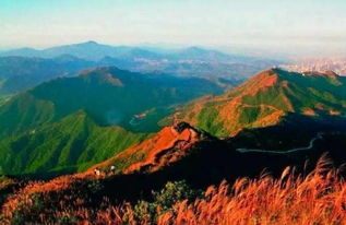 爬梧桐山的注意事項(xiàng),梧桐山登山路線圖,梧桐山登山口