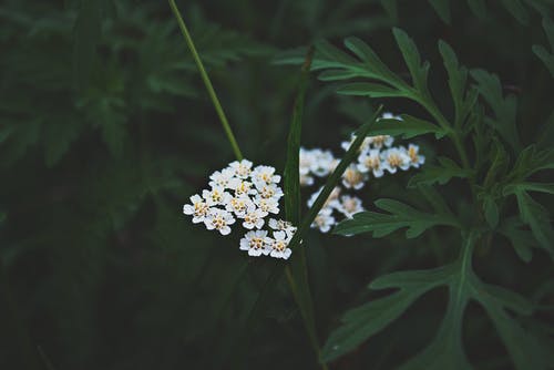 《雙調(diào)·水仙子·譏時》原文及注解