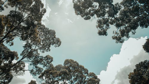 五年級寫人作文影帝王