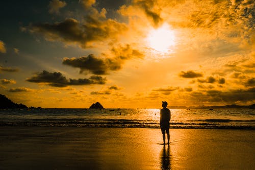 四合院瀟灑人生小說(shuō)連載中何雨柱冉秋葉章節(jié)閱讀