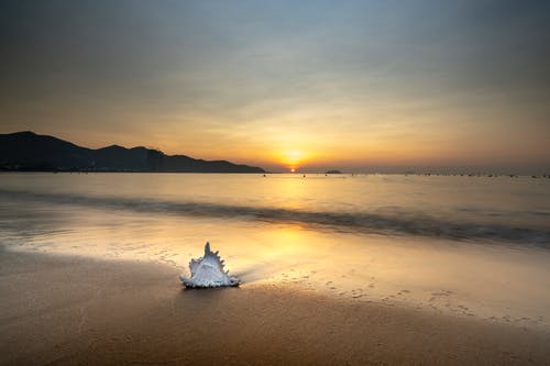 《假面騎士亞馬遜們》經(jīng)典影評(píng)1000字