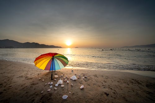 短篇小可愛別想逃小說陳桉桉夏霽全篇閱讀