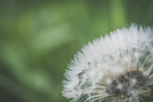 外科醫(yī)生文言文原文及翻譯