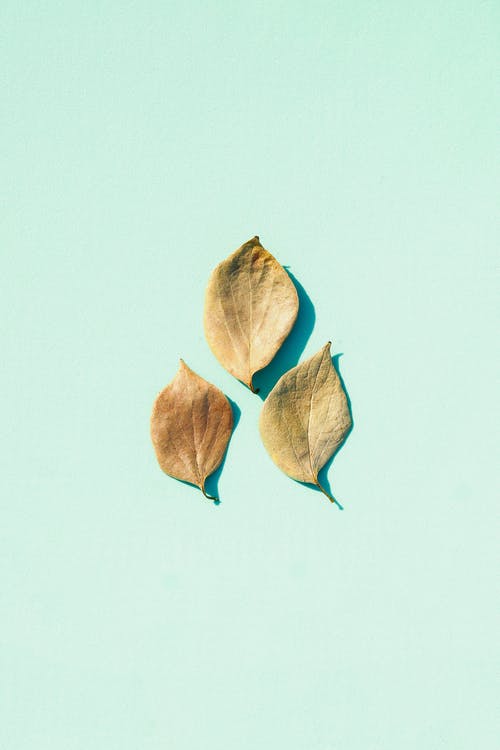 認(rèn)識(shí)實(shí)習(xí)日記范文集合6篇