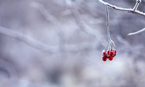 描寫友情的古詩詞