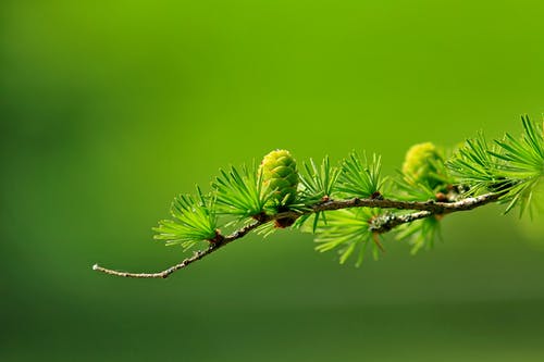 高中周記青春勵志模板錦集九篇