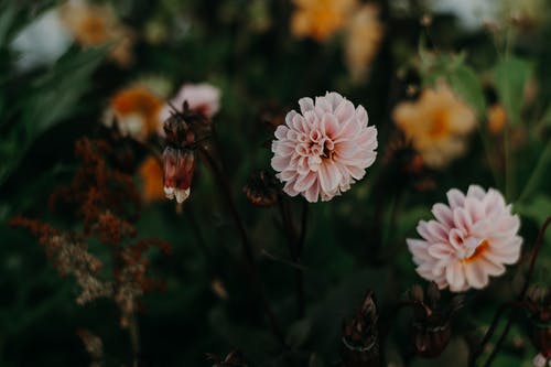后會(huì)無(wú)期經(jīng)典語(yǔ)句