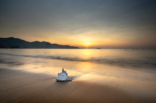 送給老師的元旦祝福語