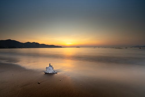 胖子勵(lì)志語錄大全
