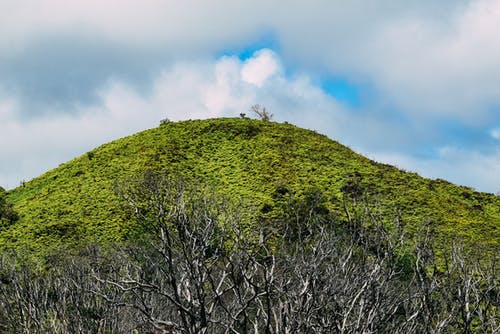 電影《生化危機(jī)5:懲罰》經(jīng)典臺(tái)詞大全 電影《生化危機(jī)5:懲罰》經(jīng)典臺(tái)詞大全