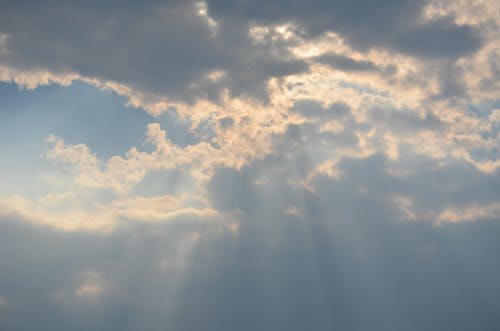 秋風(fēng)引原文、翻譯及賞析