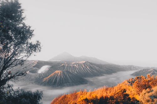 五年級寫人作文母親的關(guān)愛