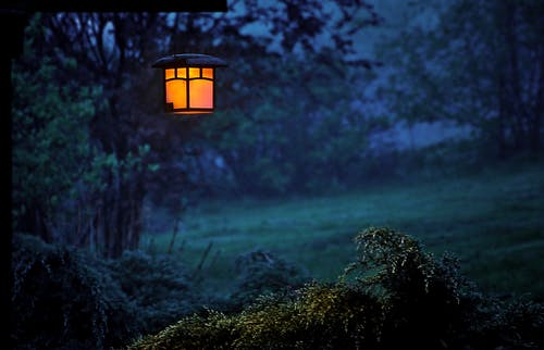 蓋世最狂戰(zhàn)神小說(shuō)by宋大年林辰逸林潔章節(jié)閱讀
